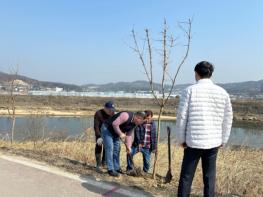 이천시 호법의숲 추진위원회, 복하천 일원 단풍나무 200그루 식재 기사 이미지
