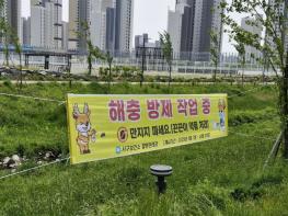 인천 서구, ‘끈끈이 현수막’으로 말라리아모기·해충 친환경 방제  기사 이미지