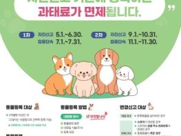 반려동물 등록하세요! 강서구, 6월까지 자진신고 기간 운영 기사 이미지