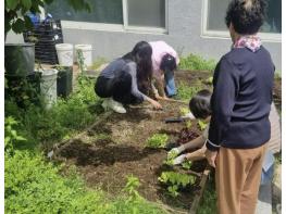 양주시, 농업활동으로 정서 치유…복지시설 대상 '치유농업' 사업 추진 기사 이미지