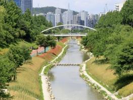 보리밭이 만든 황금로드! 마포구 월드컵천에서 만나요 기사 이미지