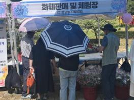 강진군 ‘수국愛 할인데이’ 대성공! 농가엔 희망을 소비자에겐 감동을 기사 이미지