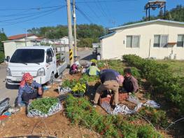 고흥군, 주민 손으로 꽃피운 점암면 신전마을, 3년 연속 ‘우수 으뜸마을’ 영예! 기사 이미지