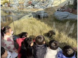 충주아쿠아리움, 수달 공개 시작! 기사 이미지