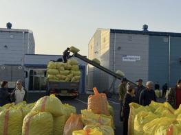 한국농협김치 연천지사, 연천군 고추 농가 대상 건고추 수매 실시 기사 이미지