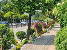 통영시, ‘도시숲·녹지공간 조성’ 올해 최우수기관 선정 기사 이미지