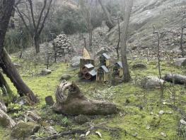 서대문구 안산(鞍山)에 자연의 청정 필터 '이끼숲' 조성 기사 이미지