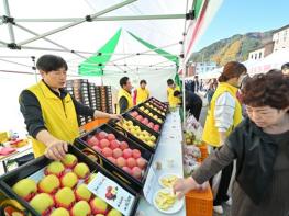 정선군, 농식품부 과수분야 연차평가 강원도 유일 인센티브 확보 기사 이미지