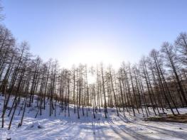 정선군, 운탄고도 1330 이용 활성화를 위한 기반시설 조성 사업추진 기사 이미지