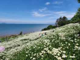 부안군, 2025년 2분기 생활인구 전북특별자치도 1위 기사 이미지