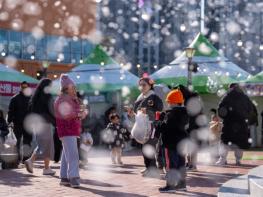 증평군, 빨강과 초록... 삼삼(蔘蔘)한 크리스마스를 물들이다. 기사 이미지