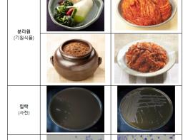농진청-식약처, 전통발효식품 유래 케이(K)-유산균 식품 원료 등재 추진 기사 이미지