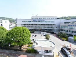 강화군, 골목형 상점가 3개소 신규 지정… 전통시장 수준 혜택 받는다 기사 이미지