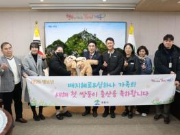 계룡시, 2026년 희망의 시작! 첫 출생아 쌍둥이 탄생 기사 이미지