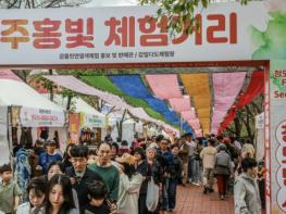 청도반시축제, 경상북도 지정 우수축제 선정 기사 이미지