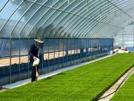임실군, ‘벼 육묘상자 처리제’ 신청하세요! 기사 이미지