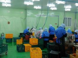 청도군 '설명절 성수식품 합동점검' 실시 기사 이미지