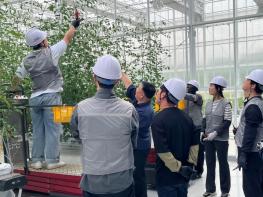 충북도, 청년 스마트팜 전문 인력 양성 교육생 모집 기사 이미지