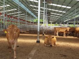 영주시, “가축재해보험 가입하세요” 기사 이미지