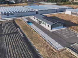 영천시, 농업인 제안형 아열대작물 공동실증재배 참여자 모집 기사 이미지