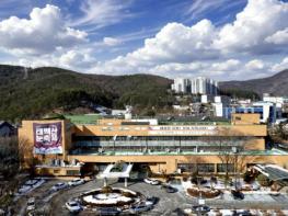 태백시, 2026년 설 명절 대비 축산물 위생점검 실시 기사 이미지