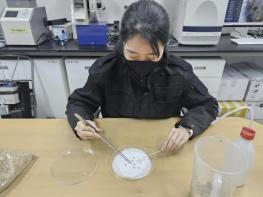 태안군농업기술센터, 농업인 대상 '벼 종자 발아율 검사' 지원 기사 이미지