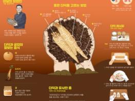 산림청, 1월 이달의 임산물로 '더덕' 선정 기사 이미지