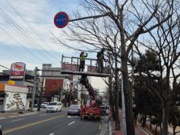 진주시, 가로수·녹지대 조경수 전정작업 실시 기사 이미지