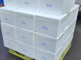 인천 중구 영종1동 지역사회보장협의체, 인천공항공사 후원으로 취약계층에 김치 지원 기사 이미지