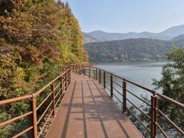 “막힘없이 한 바퀴” 완주 구이저수지 둘레길 상반기 완공 기사 이미지