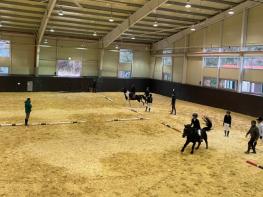 경남도, 말(馬)의 해 맞아 말산업 힘찬 '도약' 기사 이미지