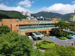 제33회 태백산 눈축제, 안전한 축제 추진을 위한 모든 행정력 집중 기사 이미지