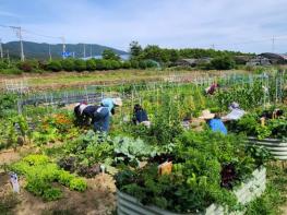 거제시 2026년 도시농업 기초반, 전문가반 교육생 모집 기사 이미지