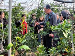 여수시, 고품질 과실 생산을 위한 정지·전정 현장 교육 실시 기사 이미지