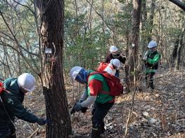 여수시, 소나무재선충병 예방나무주사 사업 추진 기사 이미지