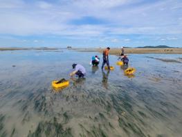 인천시, 해양생태계 활용한 블루카본으로 탄소배출권 확보한다 기사 이미지