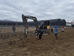 새봄 맞은 경산묘목시장, 출하 본격화로 활기 회복 기사 이미지