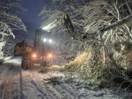 평창군, 대관령 39.2cm 폭설 완벽 대응 기사 이미지