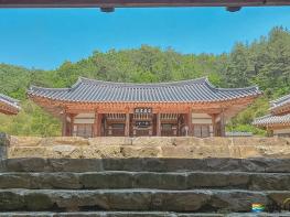 경북도 지원 영화 ‘왕과 사는 남자’천만 관객 돌파.. K-영상 메카 도약 기사 이미지