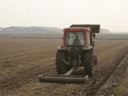 충북농기원, 봄철 사료작물 ‘눌러주기’로 생산량 15% 증대 기사 이미지