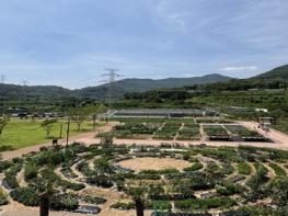 기장군, 철마도시농업공원 시민분양텃밭 참여자 모집 기사 이미지