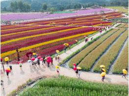 철원군 관광 산업화 ‘가속 페달’ 전국 대비 경쟁력 압도 기사 이미지