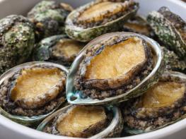 경주천년한우·경주체리·감포 참전복…경주 농축수산 ‘3대 명품’ 부상 기사 이미지