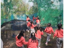 평택시, 자연 속 체험 공간 '학현 네트어드벤처' 2026년 운영 개시 기사 이미지