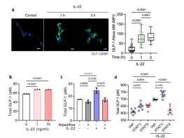 케이메디허브·대구경북첨단의료산업진흥재단, 비만·당뇨조절 논문 네이처 국제학술지 게재 기사 이미지