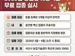 서산시, 반려동물 광견병 무료 예방접종 지원 기사 이미지