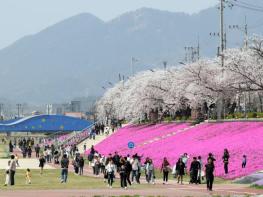정읍시, 4월 3일~5일 ‘2026 벚꽃축제’ 개막…다채로운 공연·먹거리 풍성 기사 이미지