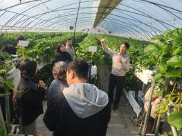 논산시 딸기 스마트재배 기술, 전국으로 확대된다 기사 이미지