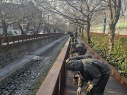 창원시 벚꽃의 도시 진해, 봄맞이 준비 본격화 기사 이미지