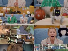 [SBS TV 동물농장] 진짜 사이 숨어든 가짜AI 동물 찾기! 기사 이미지